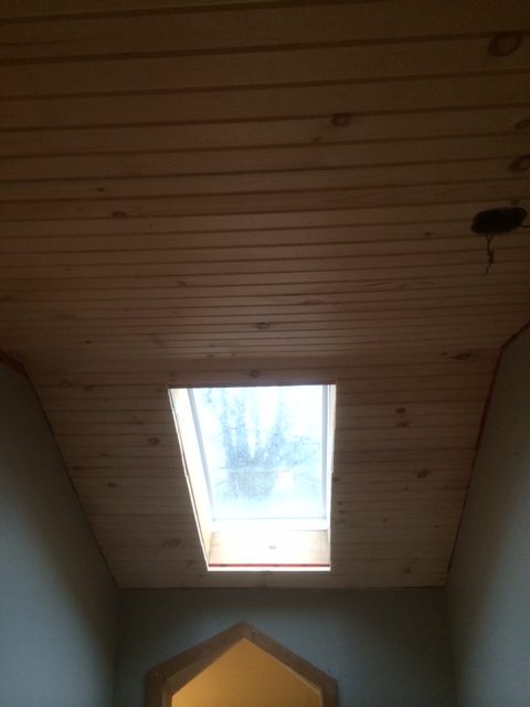 Pine Ceiling